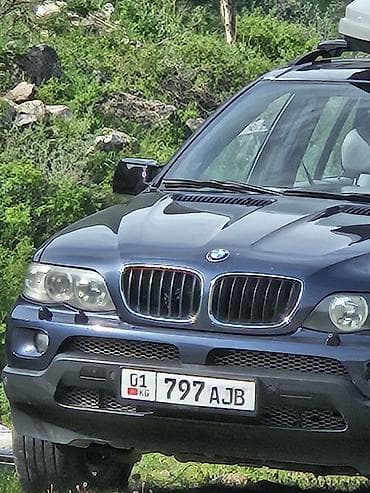 джили машина: BMW X5: 2006 г., 3 л, Автомат, Дизель, Кроссовер — 9