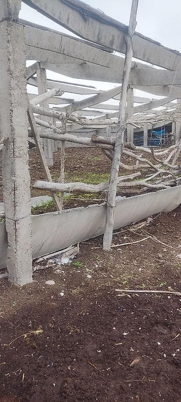 цветочный салон: Новоз для удобрения земель и полей. и для бизнеса биогумз и для — 2