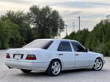 коробка тди: Mercedes-Benz 220: 1994 г. — 3
