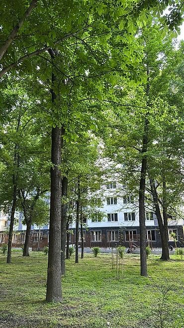 готовые квартиры от застройщика бишкек: Строится, Индивидуалка, 1 комната, 46 м² — 1