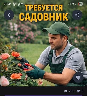 Кызматтар: Услуги садовника Профессиональный уход за садом и участком: - Обрезка — 1