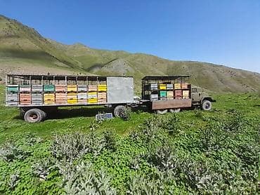 Продаю павильон для пасек,улики и рамкам,обращаться по номеру