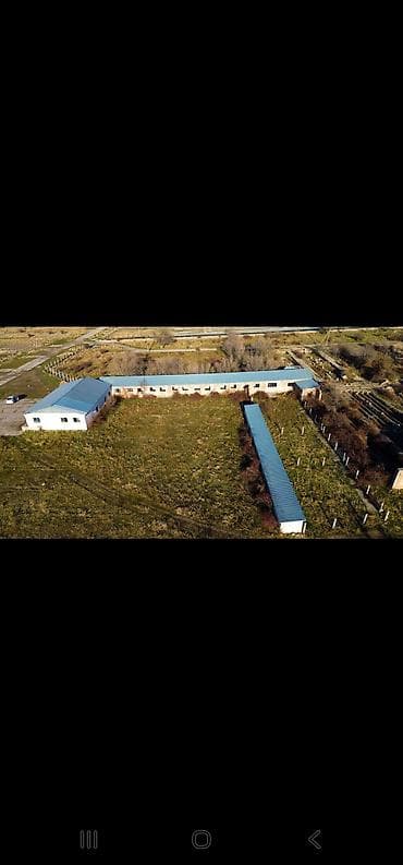сдаю сарай: Нужен сарай большой в аренду — 1