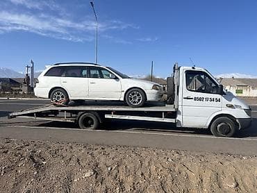 индивидуальный пошив платья: С лебедкой — 1