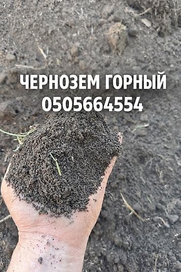 яблоки с сада: В тоннах, Бесплатная доставка, Зил — 1