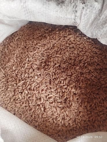 куплю орех: Рис в мешках, несколько типов шлифовки и крупности. - Вид: рис — 4