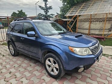 crv 1: Snow Leopard Hostel - ждём своих старых и новых гостей. Все номера — 1