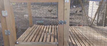 продам домик для кошки: Продаю Клетка для кроликов, на 2 отсека, с сенником по середине с — 4