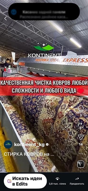 Клининг кызматтары: Килемдерди жуу, | Паластар, Килем, Акысыз жеткирүү — 2