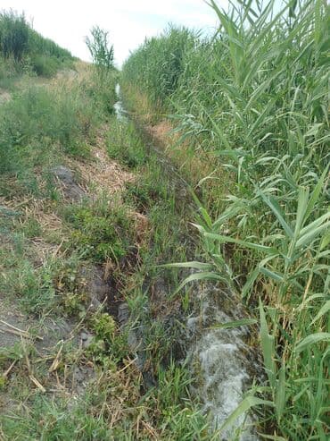 продаю дом бишкек сокулук: 500 соток, Айыл чарба үчүн, Кызыл китеп — 7