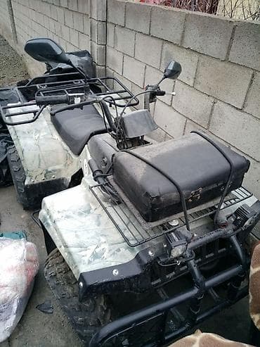 бмв мотоцикл: Квадроциклы + экипировка Продаются квадроциклы в камуфляжном пластике — 1