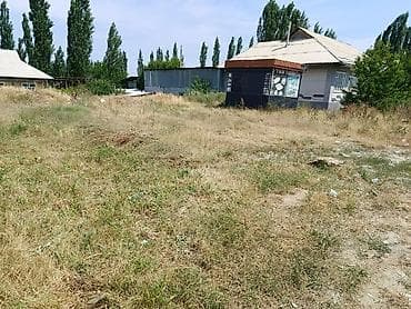 Кыймылсыз мүлк: 5 соток, Бизнес үчүн — 2