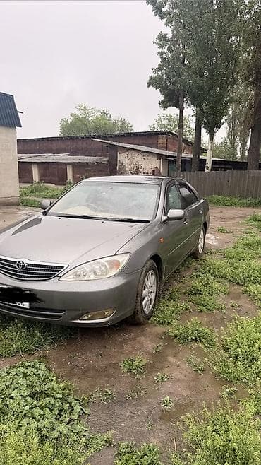 тайота грузовик: Toyota Camry: 2003 г., 2.4 л, Автомат, Газ, Седан — 1