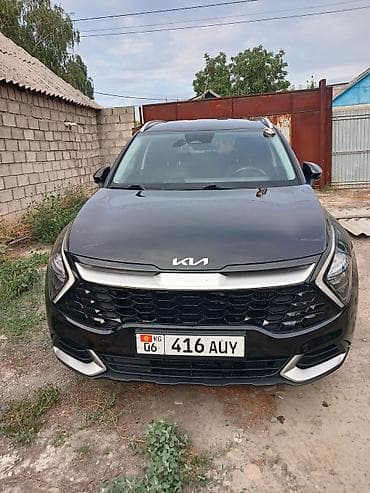 Kia Sportage: 2022 г., 1.6 л, Робот, Гибрид, Кроссовер — 6