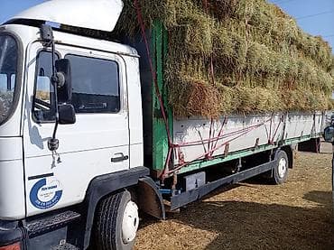 продаю кошара ферма: Ман сатылат 7куб 19.5балон 232 узуну 7.5срочно баткенде ман на — 1