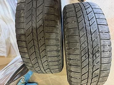 на алекс: Шины 255 / 55 / R 19, Всесезонная, Б/у, Пара, Внедорожные (АТ/МТ), Michelin — 1