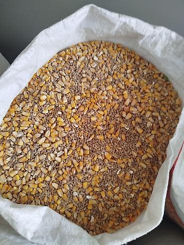 утята карабалта: Комбикорма и зерновые в мешках Ассортимент: - Кукуруза цельная - — 4
