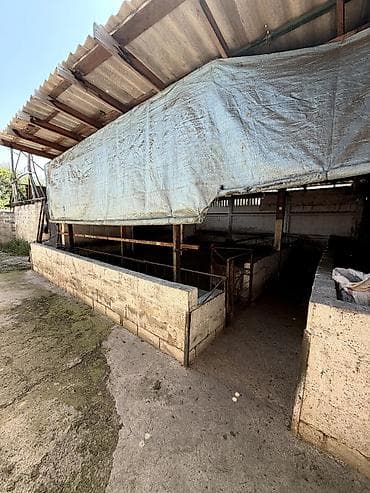 Недвижимость: 🏡 Продается уютный дом коттеджного типа в г. Шопоков (район переезда) — 8
