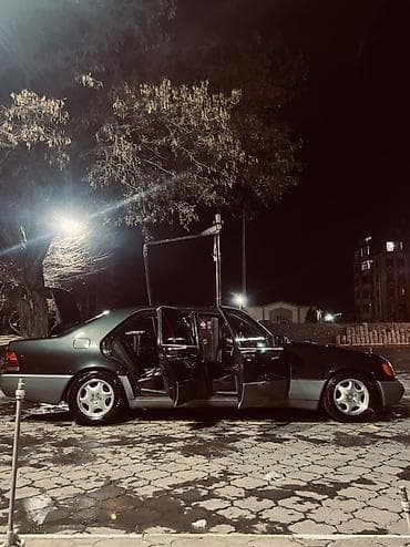 v class: Mercedes-Benz S-Class: 1994 г., 5 л, Автомат, Бензин, Седан — 4