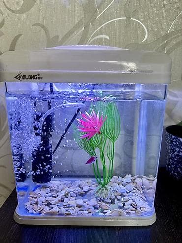 аквариумы с рыбками: В подарок: рыбка 🐠 и корм (хватит примерно на год). В комплекте — 1