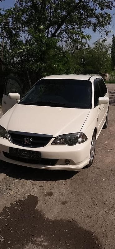 mini car: Honda Odyssey: 2002 г., Автомат, Минивэн — 8