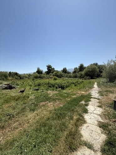 прод дом село манас: Үй, 90 кв. м, 5 бөлмө, Менчик ээси, Эски ремонт — 12
