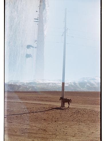 so dimm: Пленочный фотоаппарат Смена 8М (LOMO) - Формат пленки: 35 мм (тип — 2