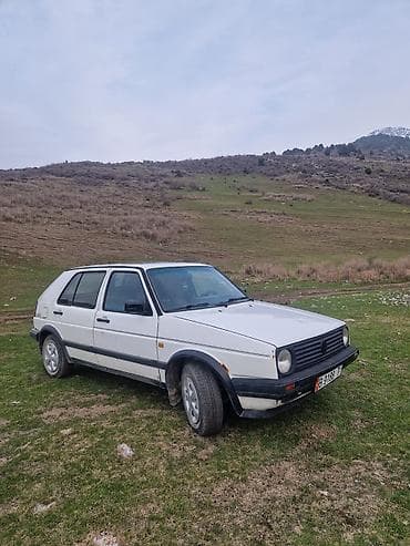 краски балончик: Volkswagen Golf: 1988 г., 1.3 л, Механика, Бензин, Хэтчбэк — 10
