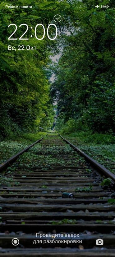 Услуги переводчика