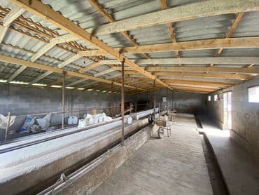 продаю дом вариант: Сатам Кой короо, 30 соток, Иштеп жаткан, Жабдууларсыз, Электр энергиясы, Канализация, Жылытуу — 9