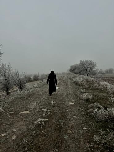 чехол мех: Продаю пальто зимние 
Покупала за 9000 отдам за 3000с окончательно — 2