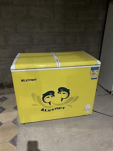 Морозильный ларь AletahT (модель BC/BD-217) робочий - Тип
