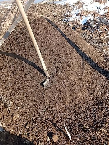 навоз в мешках бишкек: Перегной в мешках, сеянный, пятилетней выдержки доставка от 12 - 15 — 2