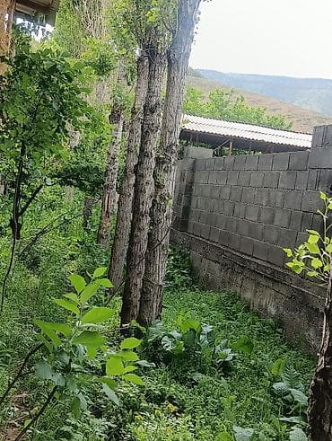 защитная сетка для растений: Саженцы — 1