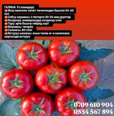 продам мясо: Семена овощей: Помидоры, Огурцы, Лук, Самовывоз, Бесплатная доставка, Платная доставка — 3