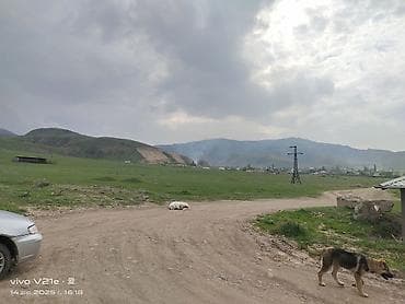 участок г кара балта: 5 соток, Для бизнеса, Красная книга, Договор купли-продажи — 5