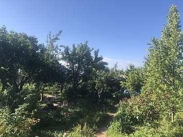 Дома: Продаю дачу в Чолпон-Ата. 6 соток,красная книга.На участке имеется — 8