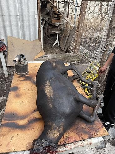 пошив кожи: Касапчы на выезд 🐑🔪, сойуу,жиликтоо, куйкало,чучук жасо эт бышыруу — 5