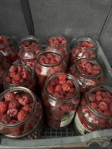 вакуумные мешки: Свежая местная малина, цельные ягоды. 250с / кг. - Ручной сбор с — 4