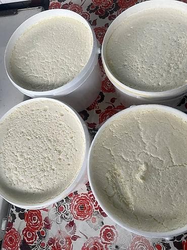 ослинное молоко: Домашнее молоко, сметана, сары май, кымыз (Бишкек) Описание — 9