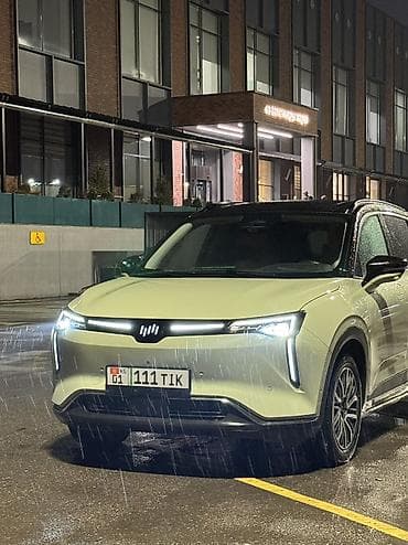 Weltmeister: Weltmeister W6, 2021 г., 80000 км — 1