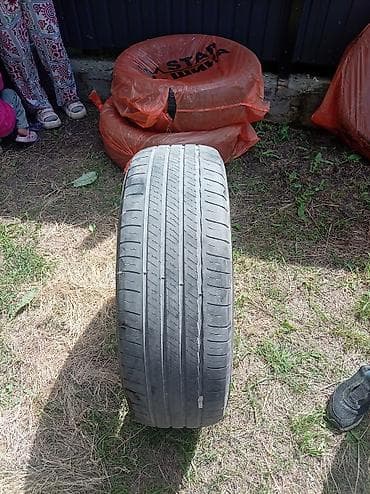 мокрый: Шины 235 / 55 / R 20, Лето, Комплект, Внедорожные (АТ/МТ), Michelin — 1