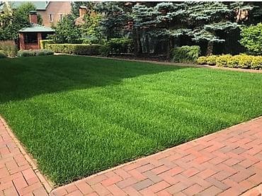 Кийимге кам көрүү жана сактоо: 🌱посев газона
🌱сеем газон
🌱 газон газон газон — 1