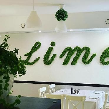 искусственные пальмы: Стабилизированный мох бишкек мох сфагнум бишкек стабилизированный — 6