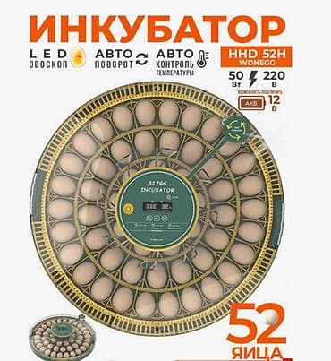 Инкубатор автоматический на 52 яйца (модель HHD 52H / Wonegg)