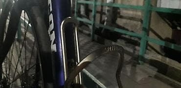 format velosiped: Шоссейный велосипед, Рама L (172 - 185 см), Б/у — 10