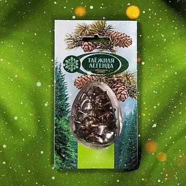 Шоколадная «Шишка» Таёжная Легенда - Форма: объемная шоколадная — 2