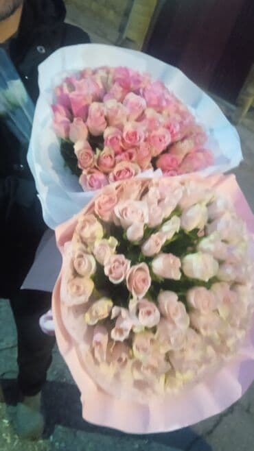 живые растения в аквариум купить: Акция‼️‼️‼️101 и 51 роза букет 💐 любое оформление в подарок 🌹акция — 3