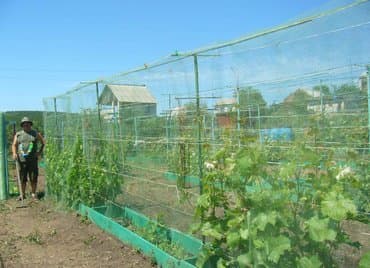 затеняющая сетка для огорода цена: Үй жана бакча үчүн декор — 4