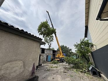 245 40 17: Стрела 21 м, 5000 т — 5
